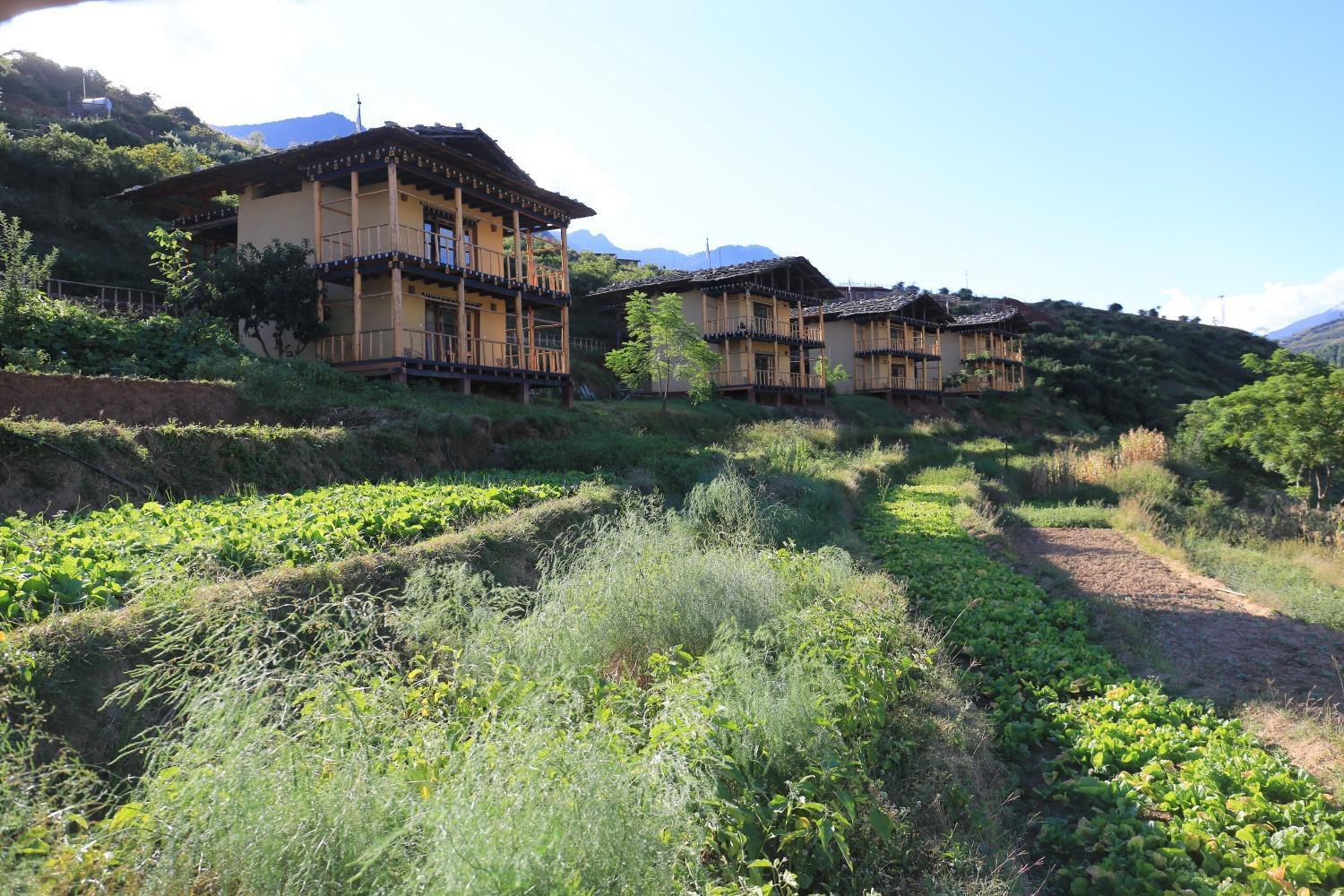 Wangdue Ecolodge Wangdue Phodrang Exterior foto