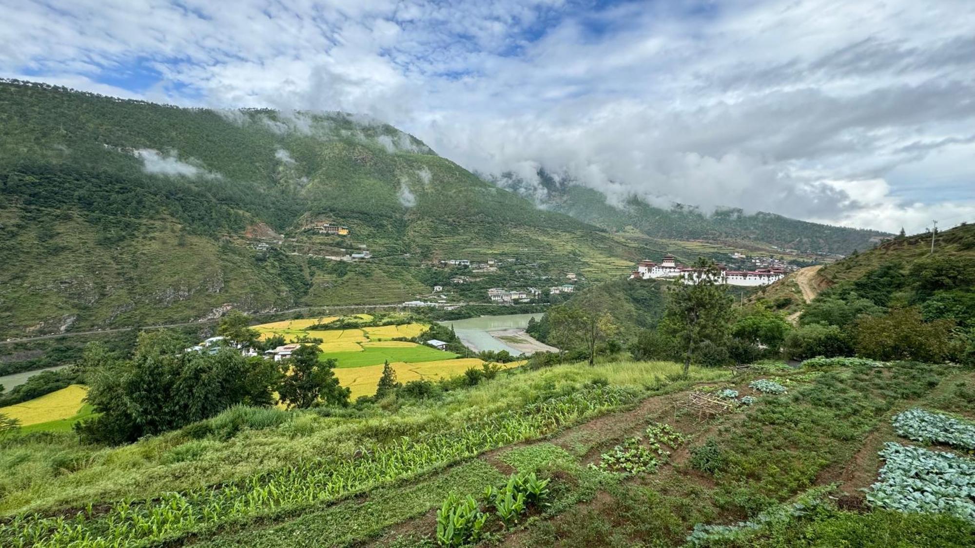 Wangdue Ecolodge Wangdue Phodrang Exterior foto