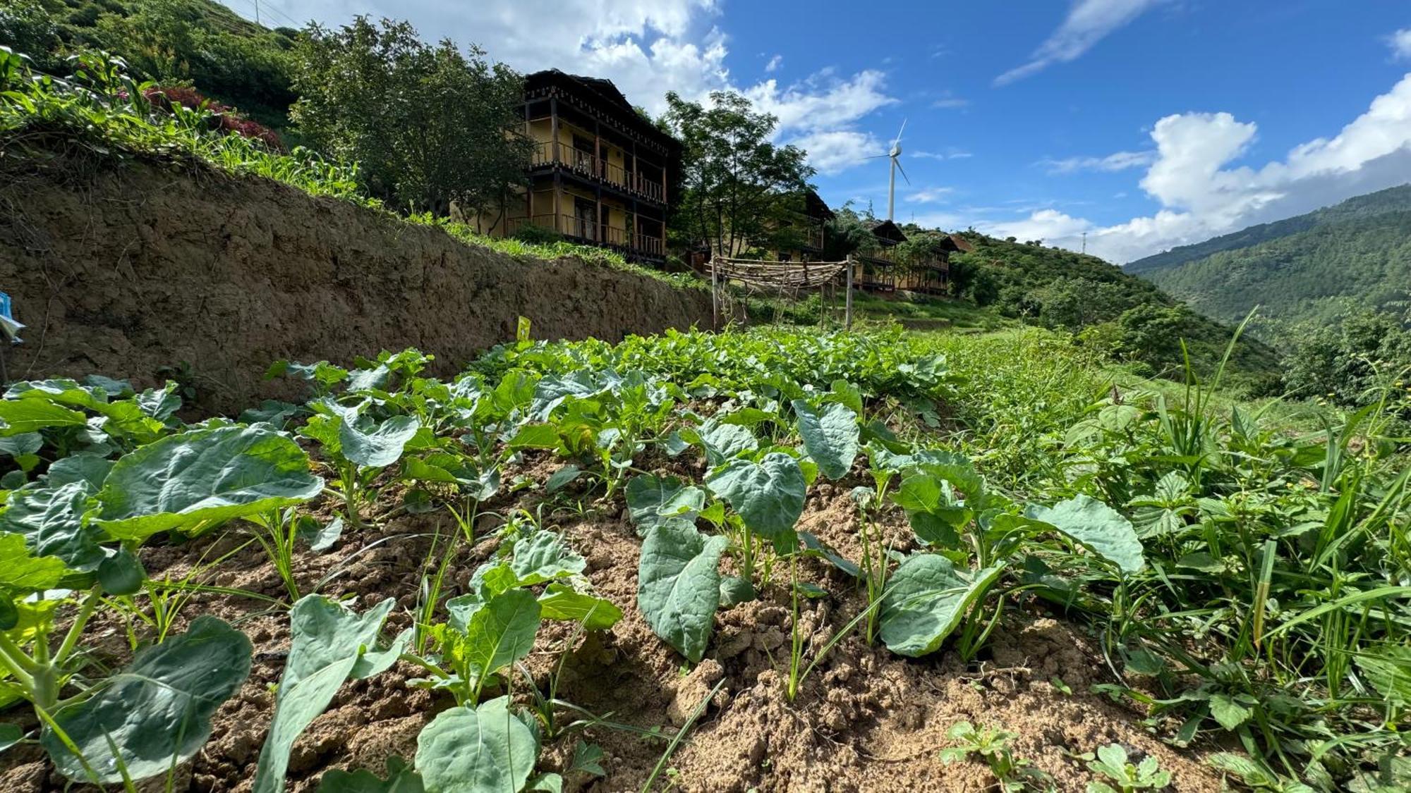 Wangdue Ecolodge Wangdue Phodrang Exterior foto