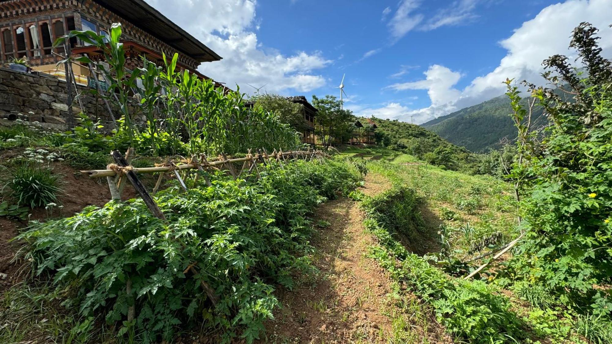 Wangdue Ecolodge Wangdue Phodrang Exterior foto